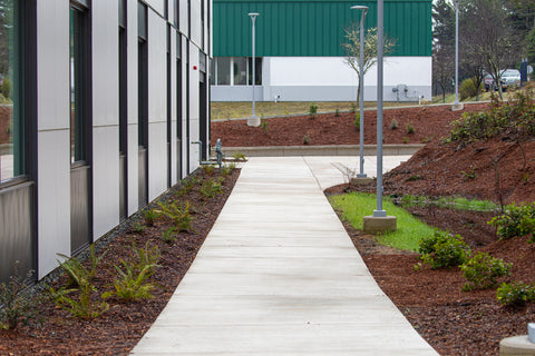 Walkway landscaping, irrigation and mulch at SWOCC by Clean Rivers